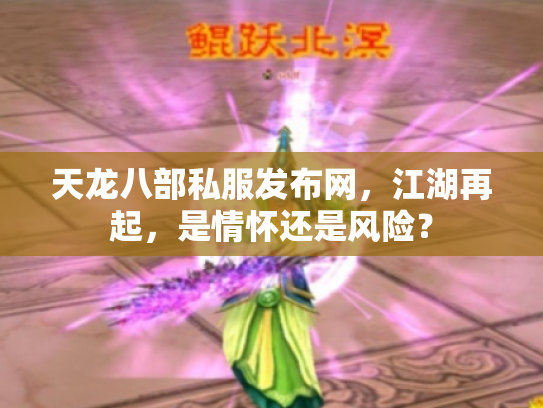 天龙八部私服发布网，江湖再起，是情怀还是风险？