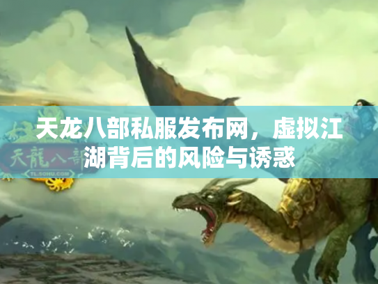 天龙八部私服发布网，虚拟江湖背后的风险与诱惑