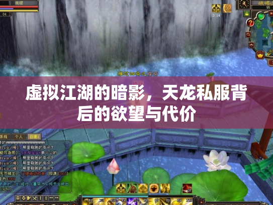 虚拟江湖的暗影，天龙私服背后的欲望与代价