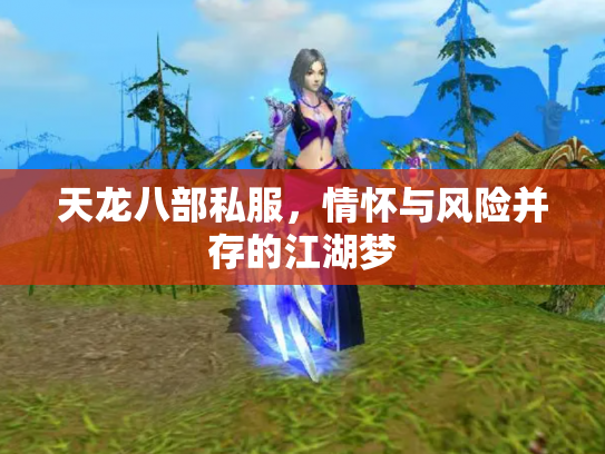 天龙八部私服，情怀与风险并存的江湖梦