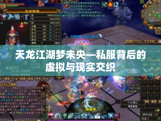 天龙江湖梦未央—私服背后的虚拟与现实交织