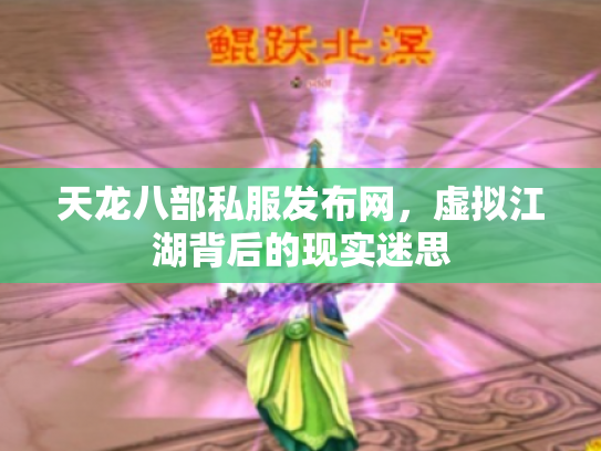 天龙八部私服发布网，虚拟江湖背后的现实迷思