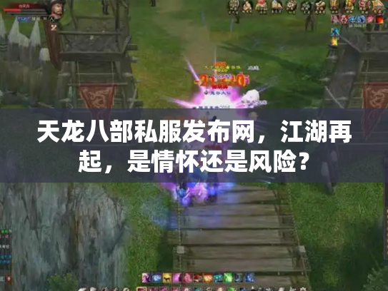 天龙八部私服发布网，江湖再起，是情怀还是风险？