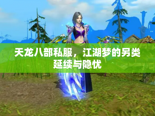 天龙八部私服，江湖梦的另类延续与隐忧