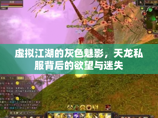 虚拟江湖的灰色魅影，天龙私服背后的欲望与迷失