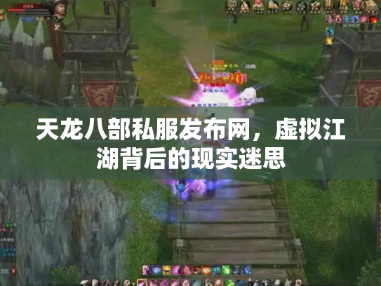 天龙八部私服发布网，虚拟江湖背后的现实迷思