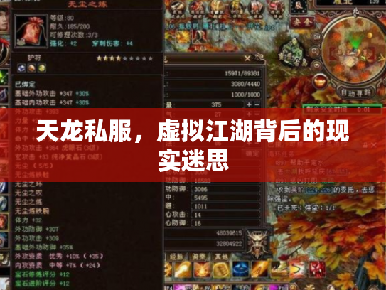 天龙私服，虚拟江湖背后的现实迷思