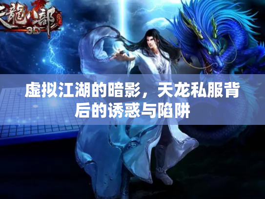 虚拟江湖的暗影，天龙私服背后的诱惑与陷阱
