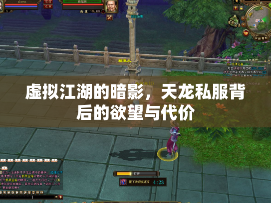 虚拟江湖的暗影，天龙私服背后的欲望与代价