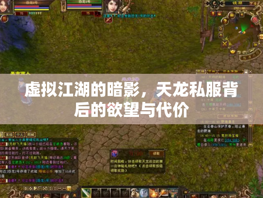 虚拟江湖的暗影，天龙私服背后的欲望与代价