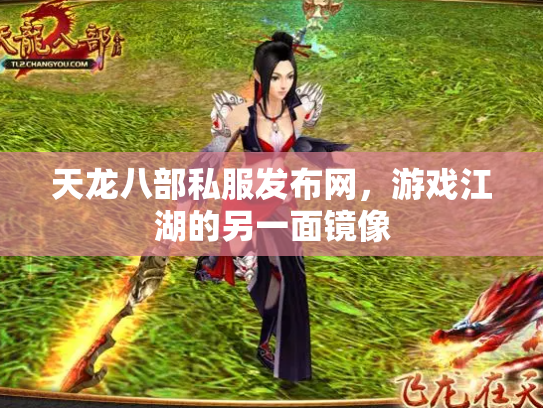 天龙八部私服发布网，游戏江湖的另一面镜像