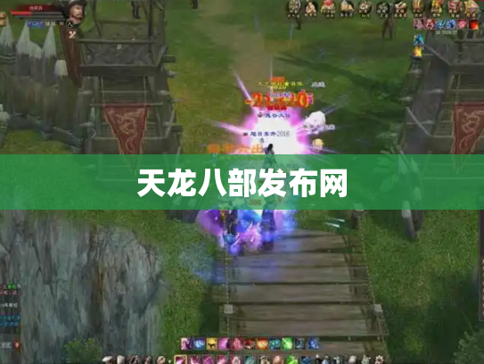 天龙八部发布网