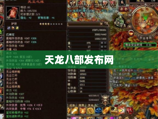天龙八部发布网