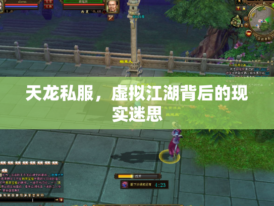 天龙私服，虚拟江湖背后的现实迷思