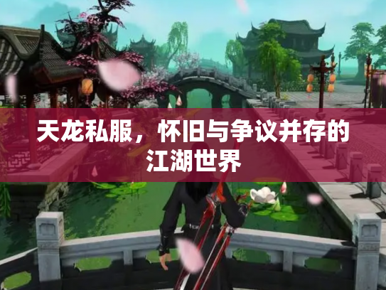 天龙私服，怀旧与争议并存的江湖世界