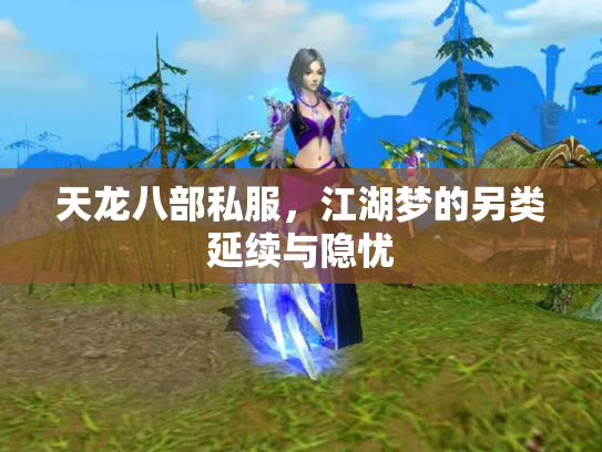 天龙八部私服，江湖梦的另类延续与隐忧