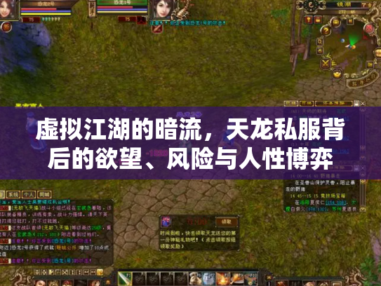 虚拟江湖的暗流，天龙私服背后的欲望、风险与人性博弈