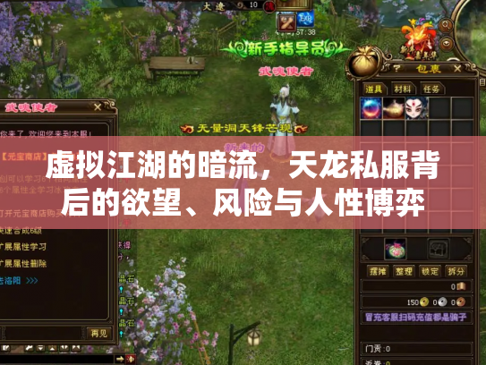 虚拟江湖的暗流，天龙私服背后的欲望、风险与人性博弈