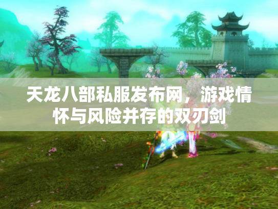 天龙八部私服发布网，游戏情怀与风险并存的双刃剑