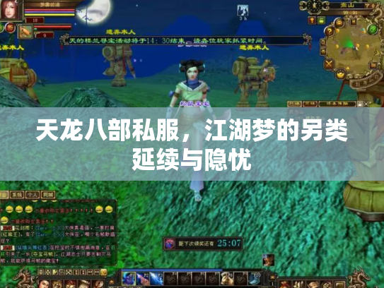 天龙八部私服，江湖梦的另类延续与隐忧