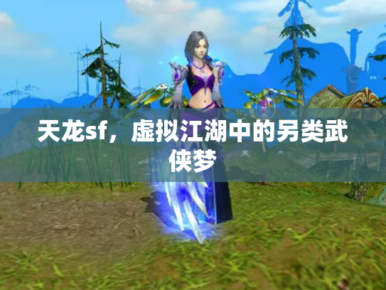 天龙sf，虚拟江湖中的另类武侠梦