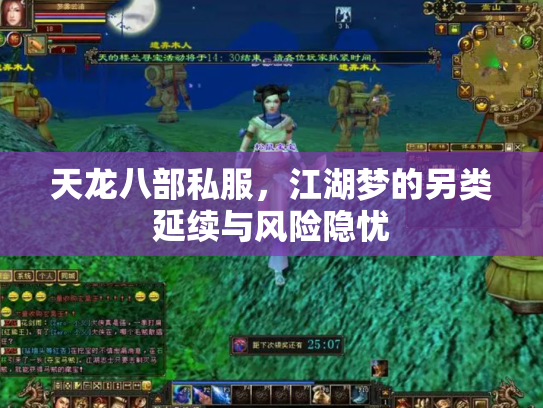 天龙八部私服，江湖梦的另类延续与风险隐忧