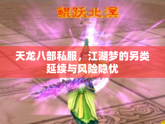天龙八部私服，江湖梦的另类延续与风险隐忧
