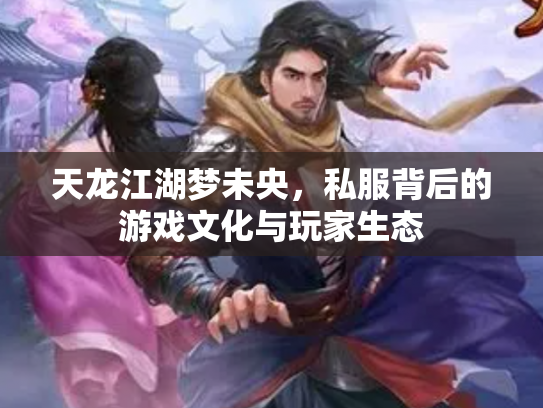 天龙江湖梦未央，私服背后的游戏文化与玩家生态