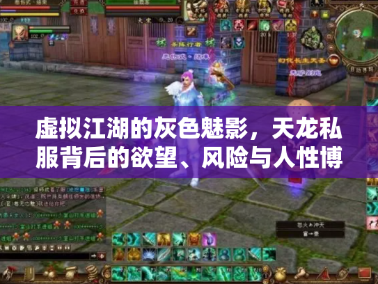 虚拟江湖的灰色魅影，天龙私服背后的欲望、风险与人性博弈