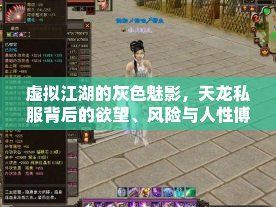 虚拟江湖的灰色魅影，天龙私服背后的欲望、风险与人性博弈