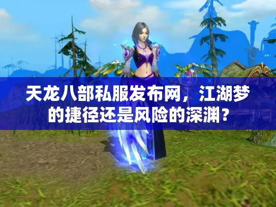 天龙八部私服发布网，江湖梦的捷径还是风险的深渊？