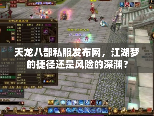 天龙八部私服发布网，江湖梦的捷径还是风险的深渊？