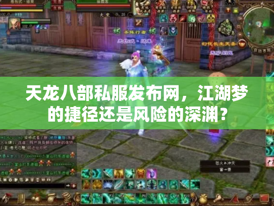 天龙八部私服发布网，江湖梦的捷径还是风险的深渊？