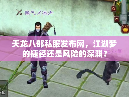 天龙八部私服发布网，江湖梦的捷径还是风险的深渊？