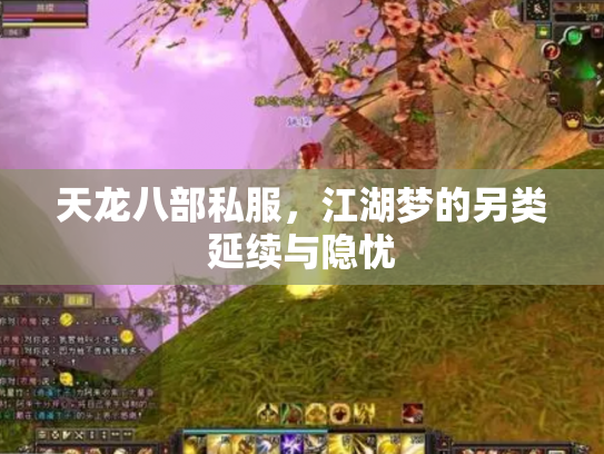 天龙八部私服，江湖梦的另类延续与隐忧