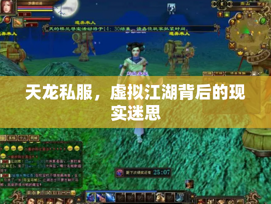 天龙私服，虚拟江湖背后的现实迷思