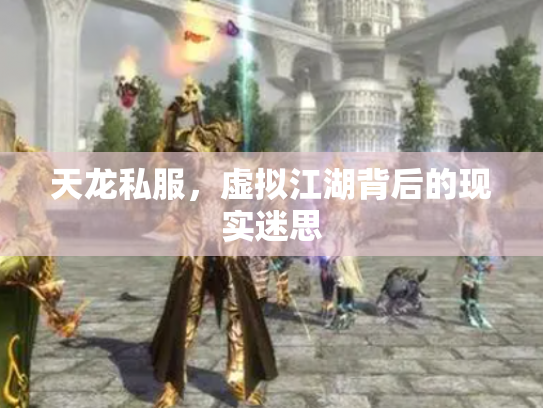 天龙私服，虚拟江湖背后的现实迷思