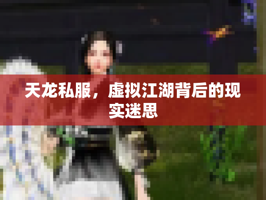 天龙私服，虚拟江湖背后的现实迷思