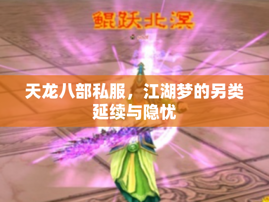 天龙八部私服，江湖梦的另类延续与隐忧