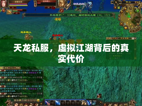 天龙私服，虚拟江湖背后的真实代价