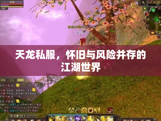 天龙私服，怀旧与风险并存的江湖世界