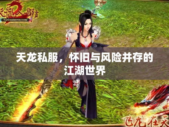 天龙私服，怀旧与风险并存的江湖世界