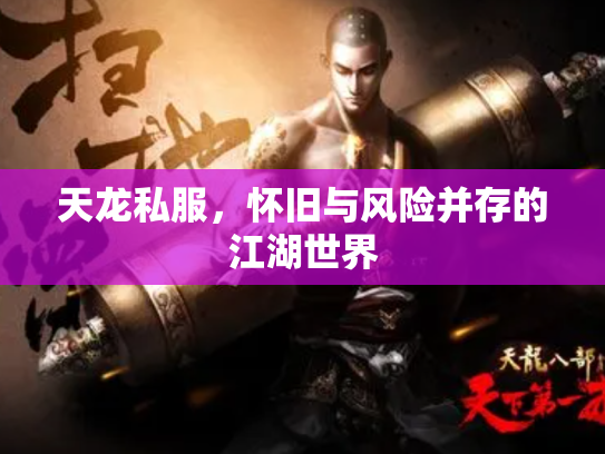 天龙私服，怀旧与风险并存的江湖世界