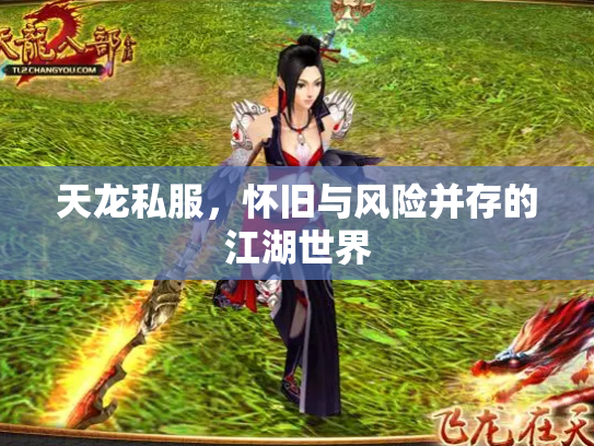 天龙私服，怀旧与风险并存的江湖世界