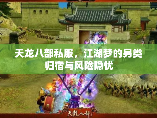 天龙八部私服，江湖梦的另类归宿与风险隐忧