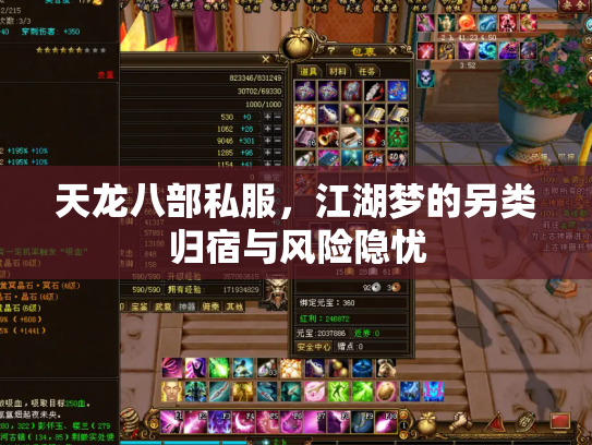 天龙八部私服，江湖梦的另类归宿与风险隐忧