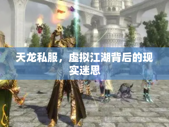 天龙私服，虚拟江湖背后的现实迷思