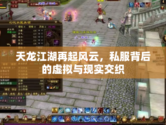 天龙江湖再起风云，私服背后的虚拟与现实交织