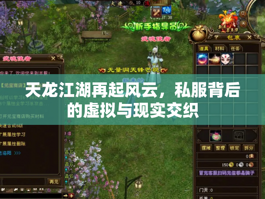 天龙江湖再起风云，私服背后的虚拟与现实交织