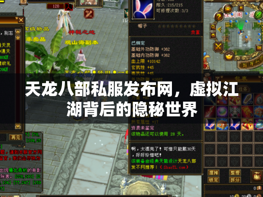 天龙八部私服发布网，虚拟江湖背后的隐秘世界